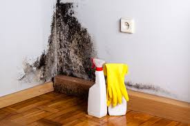 Best Mold Remediation for Healthcare Facilities  in Quitman, MS